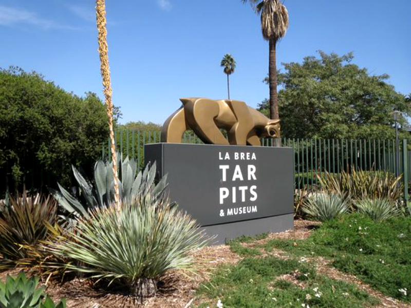 Visiting La Brea Tar Pits And Museum - Los Angeles • GO GlobeHopper