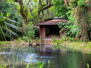 Botanical Gardens Orlando Go Globehopper